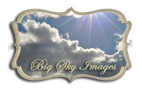 Big Sky Images ~ Michele Wallace Design